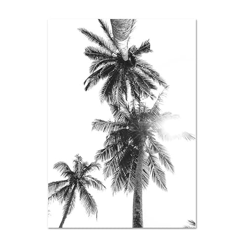 ZONJEE Schwarz-weiße Tropische Palme auf Leinwand, Poster und Drucke, minimalistische Malerei, Wandkunst, Bild, nordisches Wohnzimmer, Heimdekoration (Color : B, Size : 40x50cm No Frame) von ZONJEE