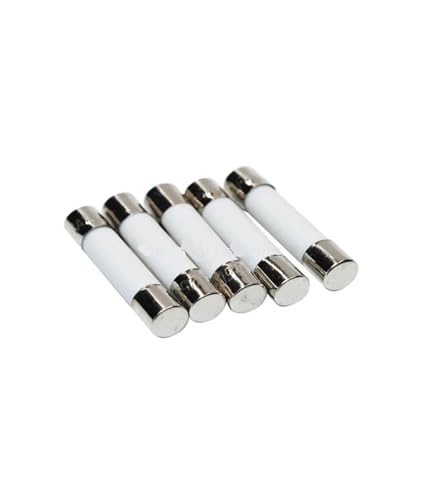 Keramische Haushalts-Netzsicherung 10 STÜCKE 6x30mm Rohrsicherung 250 V 0,5 A 1 A 2 A 3 A 4 A 5 A 6 A 8 A 10 A 12 A 15 A 20 A 25 A 30 A Schnelle Fusing 6 * 30mm(3A) von ZONSHJDKR