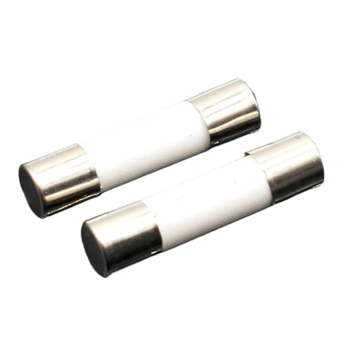 Keramische Haushalts-Netzsicherung 10 Stück 5 mm x 20 mm, träge T 0,5 A 1 A 2 A 3 A 4 A 5 A 6 A 8 A 10 A 13 A 15 A 16 A 20 A 250 V(8A) von ZONSHJDKR