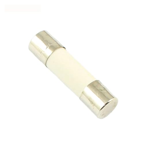 Keramische Haushalts-Netzsicherung 100 Stück Fast Blow 5 x 20 mm250 V F 0,1 A 0,2 A 0,3 A 0,5 A 1 A 2 A 2,5 A 3 A 3,15 A 4 A 5 A 6 A 7 A 8 A 10 A 12 A 15 A 20 A 25 A 30 A(0.3A) von ZONSHJDKR