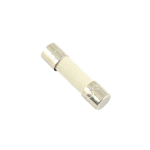 Keramische Haushalts-Netzsicherung 5 stücke 215 5 * 20mm 5x20mm Träge Zeitverzögerte Keramik-kartuschensicherung 250 V T 1.6A 2A 2.5A 3.15A 4A 5A 6.3A 8A 10A 12A H(8A) von ZONSHJDKR