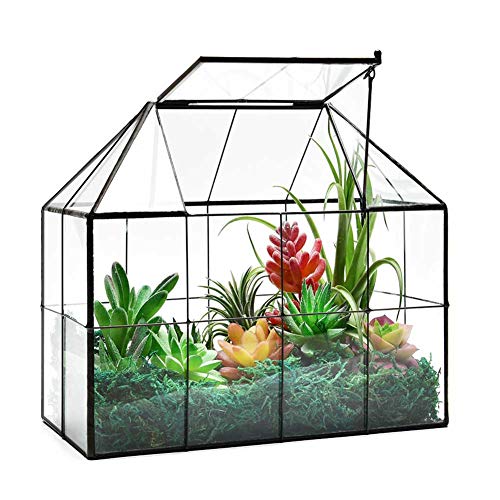 Großes Glas-Gewächshaus für Sukkulenten, Terrarium mit Deckel, geometrische Tischplatte von ZOOBAYA