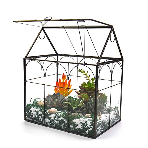 Großes Terrarium aus Glas – dekoratives Haus-Glas-Terrarium mit Deckel, für den Innenbereich, für den Schreibtisch, Tisch-Terrarium, Glasbehälter für Orchideen, Sukkulenten von ZOOBAYA