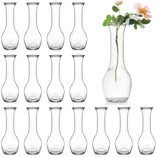 ZOOFOX 16 Stück Glasvase Kleine Vasen für Blumen, Klarglas Blumenflasche für rustikale Hochzeit Tafelaufsätze, Home Tisch Blumendekoration Blumenarrangements von ZOOFOX
