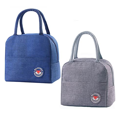 ZOOMPIL Isolierte Lunchtasche, 2pcs Faltbare Lunchtasche, Thermische Picknicktaschen, Kleine Kühltasche Isoliert, Picknicktasche Kühltasche Für Picknick, Schule, Büroarbeit von ZOOMPIL