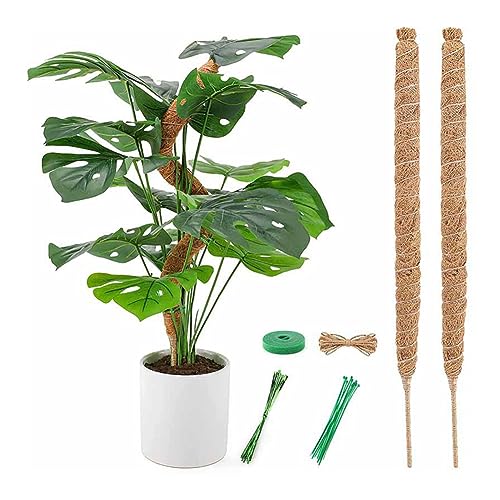 ZOOMPIL Biegsame Moosstäbe für Pflanzen, 2 Pack 64cm Pflanzstab Kokos, Monstera Rankhilfe, Kokosstab für Pflanzen, für Haus Garten Pflanzenunterstützung Kokosstab Verlängerung von ZOOMPIL