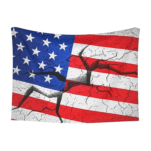 ZORIN Hundedecke, waschbar, weiche Decken für Hunde, USA-Flagge, Druck auf gebrochenem Land, flauschige Katze, Zwinger, Kiste, Bett, Haustierkissen für Katzen, Kätzchen, Welpen, Tiere (70 x 50 cm) von ZORIN