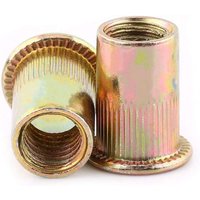Nietmuttern-Set mit metrischem Gewindeeinsatz aus verzinktem Kohlenstoffstahl (M10 × 20 Stück) von ZOTERNEN