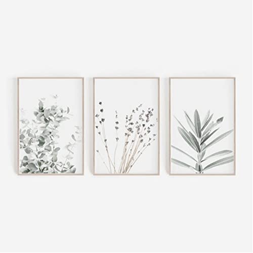 ZOYIEP 3er Poster Set Wohnzimmer - Bilder Deko Schlafzimmer - Lavendel Eukalyptus Pflanze Stilvolle Wandbilder - ohne Bilderrahmen (21 x 30 cm) von ZOYIEP