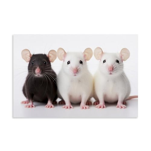 Three Mice Standing Cutely Close-up Schlafzimmer 24x36inch(60x90cm) von ZOZO HOUSE