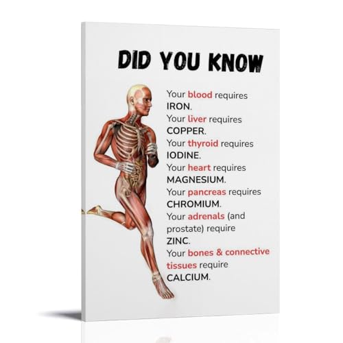 ZOZO HOUSE Running Human Body Structure Diagram Schlafzimmer 08x12inch(20x30cm) von ZOZO HOUSE