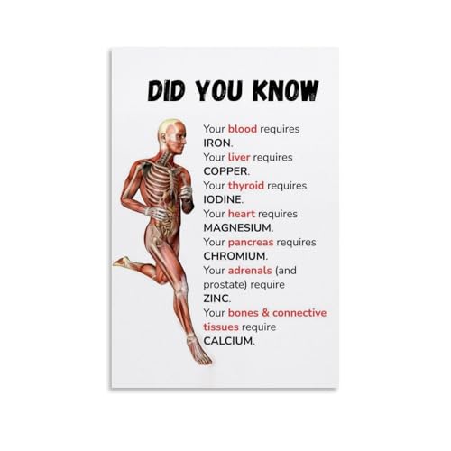 ZOZO HOUSE Running Human Body Structure Diagram Wandkunst 16x24inch(40x60cm) von ZOZO HOUSE