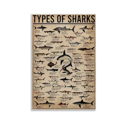 ZOZO HOUSE Shark Species Map Poster 12x18inch(30x45cm) von ZOZO HOUSE