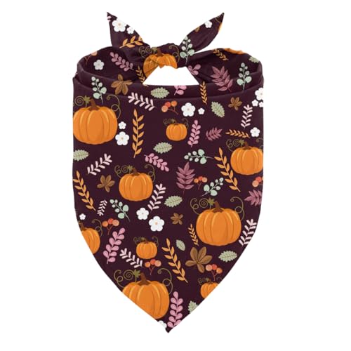 Herbst-Hundehalstuch, Herbst-Hundehalstücher mit Beeren, Blumen, Kürbis und gefallenen Blättern, für kleine und mittelgroße Hunde, saisonal, verstellbar, dreieckig, dekorativer Schal Herbst-Hundehalstuch, Herbst-Hundehalstücher mit Beeren, Blumen, Kürbis und gefallenen Blättern, für kleine und mittelgroße Hunde, saisonal, verstellbar, dreieckig, dekorativer Schal von ZPPRJF