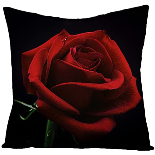 Kissenbezug 80x80 Schwarze Rote Rose Kopfkissenbezug 80x80 Baumwolle Leinen sofakissen mit Reißverschluss Dauerhaft Kissenbezüge 80x80 Knitterfreie Starke Atmungsaktivität Couchkissen 1 Pcs Kissenbezug 80x80 Schwarze Rote Rose Kopfkissenbezug 80x80 Baumwolle Leinen sofakissen mit Reißverschluss Dauerhaft Kissenbezüge 80x80 Knitterfreie Starke Atmungsaktivität Couchkissen 1 Pcs von ZQMHCY