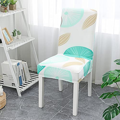 Stuhlhussen 4er Set Braun Cyan Hussen für Stühle Stretch Weiche Elasthan Stuhlhussen Schwingstühle Waschbar Stuhlbezug Abnehmbare Stuhlhusse Langlebig Universal Chair Cover von ZQMHCY