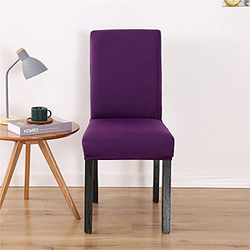 ZQMHCY Stuhlhussen Lila Stuhlbezug Stretch Weiche Elasthan Hussen für Stühle Abnehmbare Waschbar Stuhlhusse Langlebig Universal Chair Cover Sehr Pflegeleicht 2 Stück von ZQMHCY