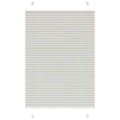 Plissee für Fenster 100% Polyester Sicht- und Sonnenschutz mit Klemmträger oder Schraubmontage Elegantes Design für Wohnzimmer Schlafzimmer und Büro von ZQQLVOO