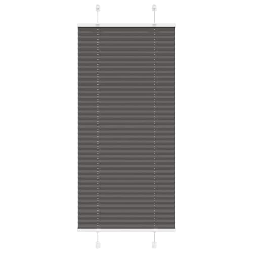 Plissee für Fenster mit Sicht- und Sonnenschutz, 100% Polyester, langlebig und pflegeleicht, Zwei Montagemöglichkeiten (mit Schrauben oder Klemmträgern), Elegantes Design von ZQQLVOO