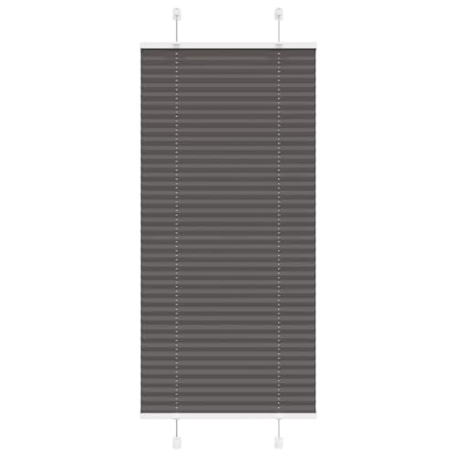 Plissee für Fenster mit Sicht- und Sonnenschutz, 100% Polyester, langlebig und pflegeleicht, Zwei Montagemöglichkeiten (mit Schrauben oder Klemmträgern), modernes Design von ZQQLVOO