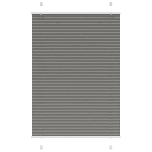 Plissee für Fenster mit Sicht- und Sonnenschutz, 100% Polyester, langlebig und pflegeleicht, Zwei Montagemöglichkeiten (mit Schrauben oder Klemmträgern), modernes Design von ZQQLVOO