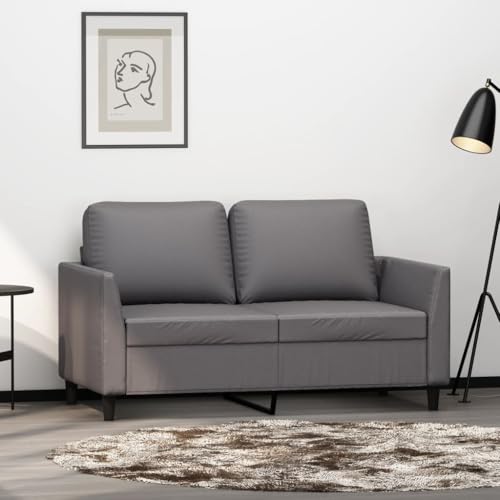 ZQQLVOO 2-Sitzer Sofa aus langlebigem Kunstleder, modernes Design für Wohnzimmer, bequem mit gepolsterten Sitzflächen, Robustes Metallgestell, schmutzabweisend und leicht zu reinigen ZQQLVOO 2-Sitzer Sofa aus langlebigem Kunstleder, modernes Design für Wohnzimmer, bequem mit gepolsterten Sitzflächen, Robustes Metallgestell, schmutzabweisend und leicht zu reinigen von ZQQLVOO