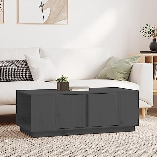 ZQQLVOO Couchtisch Grau Massiver Kiefernholz Couchtisch mit Stauraum und Türen 110x50x40 cm Massivholz Kiefer von ZQQLVOO