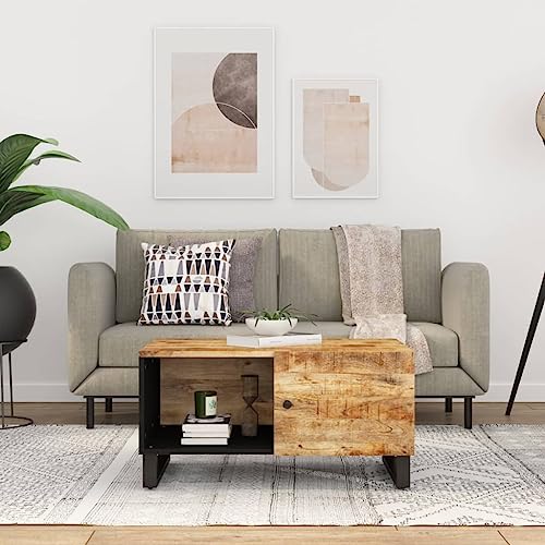 ZQQLVOO Couchtisch Massiver Mangoholz Couchtisch mit Stauraum und Tür für Wohnzimmer 80x50x40 cm Massivholz Mango & Holzwerkstoff von ZQQLVOO