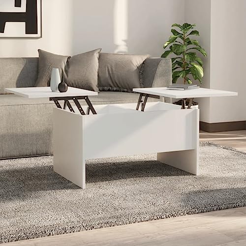 ZQQLVOO Couchtisch Weiß beistelltisch Wohnzimmer möbel for Innenraum Esszimmer 80x50x42,5 cm Holzwerkstoff von ZQQLVOO