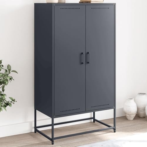 ZQQLVOO Highboard Anthrazit kleiderschrank gartenschrank for Büro Wohnzimmer 68,5x38,5x123,5 cm Stahl von ZQQLVOO
