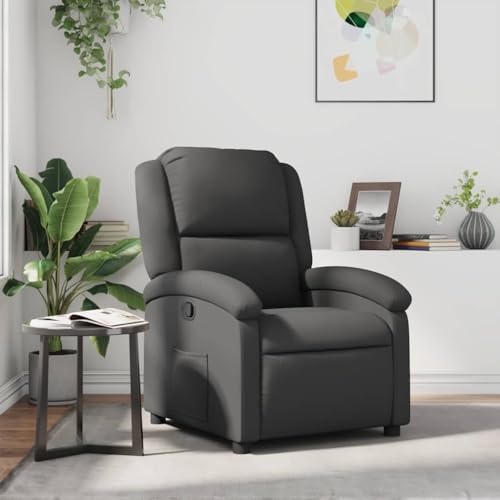 ZQQLVOO Relaxsessel Grau Echtleder Chair ohrensessel mit hocker for Balkon Büro von ZQQLVOO