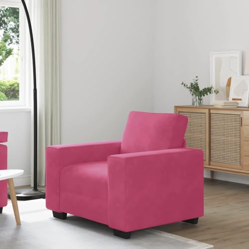 ZQQLVOO Samt Relaxsessel mit gepolsterten Schaumstoffsitzen und Metallgestell, bequemer Lesesessel für Wohnzimmer, Schlafzimmer oder Arbeitszimmer, moderner Sessel mit Samtbezug von ZQQLVOO