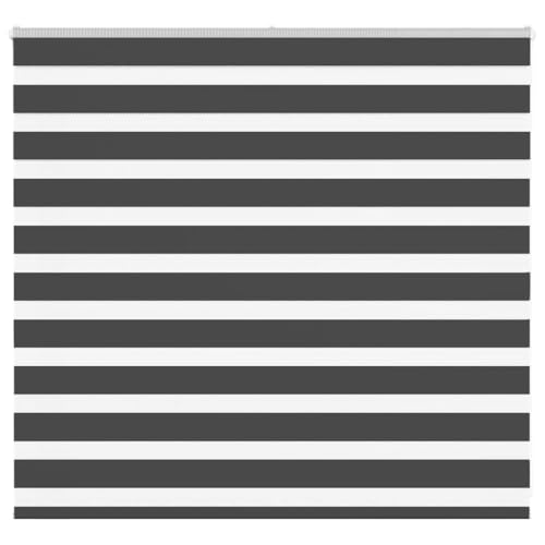 Zebra Jalousie Rollo, 100% Polyester Sicht- und Sonnenschutz mit Kettenzug, kinderleicht verstellbar für Fenster, Blickdicht und lichtdurchlässig, Montage ohne Bohren Zebra Jalousie Rollo, 100% Polyester Sicht- und Sonnenschutz mit Kettenzug, kinderleicht verstellbar für Fenster, Blickdicht und lichtdurchlässig, Montage ohne Bohren von ZQQLVOO