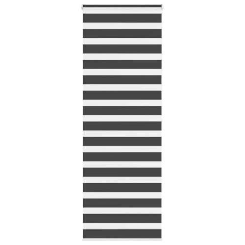 Zebra Jalousie Rollo 100% Polyester Sicht- und Sonnenschutz mit Kettenzug, kinderleicht montierbar für Fenster ohne Bohren, modernes Design für Wohnzimmer und Schlafzimmer von ZQQLVOO