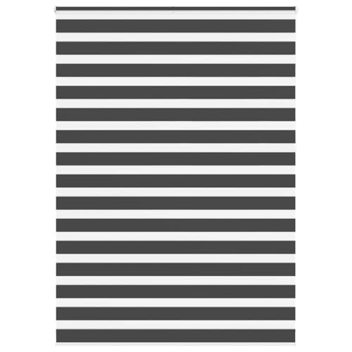 Zebra Jalousie Rollo 100% Polyester Sicht- und Sonnenschutz mit Kettenzug, kinderleicht zu reinigen und staubabweisend für Wohnzimmer Schlafzimmer Büro von ZQQLVOO