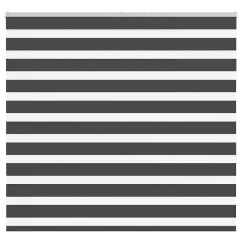Zebra Jalousie Rollo 100% Polyester Sicht- und Sonnenschutz mit Kettenzug, kinderleicht zu reinigen und zu montieren für Fenster im Wohnzimmer, Schlafzimmer oder Büro von ZQQLVOO