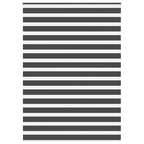 Zebra Jalousie Rollo 100% Polyester Sicht- und Sonnenschutz mit Kettenzug für Fenster, Kinder Sicherheit, ohne Bohren Montage, lichtdurchlässig bis abdunkelnd, modernes Design Zebra Jalousie Rollo 100% Polyester Sicht- und Sonnenschutz mit Kettenzug für Fenster, Kinder Sicherheit, ohne Bohren Montage, lichtdurchlässig bis abdunkelnd, modernes Design von ZQQLVOO