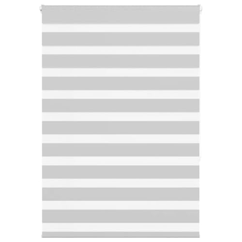Zebra Jalousie Rollo für Fenster, 100% Polyester Sicht- und Sonnenschutz mit Kettenzug, kinderleicht verstellbar, Blickdicht und lichtdurchlässig, ohne Bohren montierbar, von ZQQLVOO