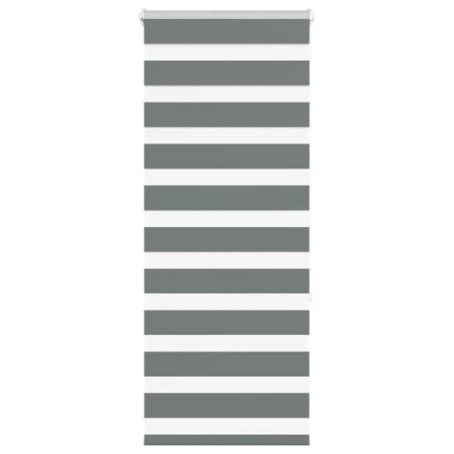 Zebra Jalousie Rollo für Fenster, 100% Polyester Sicht- und Sonnenschutz mit Kettenzug, kinderleicht zu reinigen, ohne Bohren montierbar, modernes Design für Wohnzimmer, von ZQQLVOO