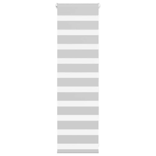 Zebra Jalousie Rollo mit Kettenzug, 100% Polyester Sicht- und Sonnenschutz für Fenster, Kinder sicher mit Kabelclip, Montage ohne Bohren möglich, eleganter Verdunklungsrollo von ZQQLVOO