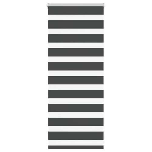Zebra Jalousie Rollo mit Kettenzug, 100% Polyester Sicht- und Sonnenschutz für Fenster, Kinder- und Bohrfrei Montage, Stufenlos Verstellbar in Transparent und Blickdicht Zebra Jalousie Rollo mit Kettenzug, 100% Polyester Sicht- und Sonnenschutz für Fenster, Kinder- und Bohrfrei Montage, Stufenlos Verstellbar in Transparent und Blickdicht von ZQQLVOO