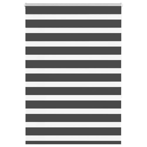 Zebra Jalousie Rollo mit Kettenzug, 100% Polyester Sicht- und Sonnenschutz für Fenster, Kinder- und Bohrfrei Montage, Stufenlos Verstellbar in Transparent und Blickschutz Zebra Jalousie Rollo mit Kettenzug, 100% Polyester Sicht- und Sonnenschutz für Fenster, Kinder- und Bohrfrei Montage, Stufenlos Verstellbar in Transparent und Blickschutz von ZQQLVOO