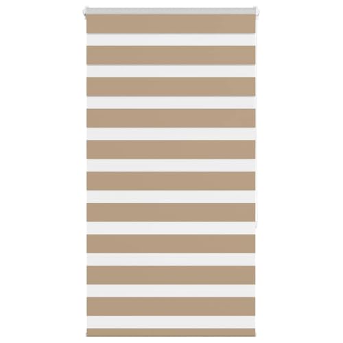 Zebra Jalousie Rollo mit Kettenzug, 100% Polyester Sicht- und Sonnenschutz für Fenster, kinderleicht montierbar mit Klemmbügeln oder Schrauben, eleganter Lichtschutz von ZQQLVOO