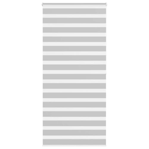 Zebra Jalousie Rollo mit Kettenzug, 100% Polyester Sicht- und Sonnenschutz für Fenster, kinderleicht montierbar mit Klemmbügeln oder Schrauben, stufenlos verstellbar von ZQQLVOO