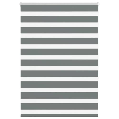 Zebra Jalousie Rollo mit Kettenzug, 100% Polyester Sicht- und Sonnenschutz für Fenster, kinderleicht verstellbar, Blickdicht und lichtdurchlässig, ohne Bohren montierbar, Zebra Jalousie Rollo mit Kettenzug, 100% Polyester Sicht- und Sonnenschutz für Fenster, kinderleicht verstellbar, Blickdicht und lichtdurchlässig, ohne Bohren montierbar, von ZQQLVOO