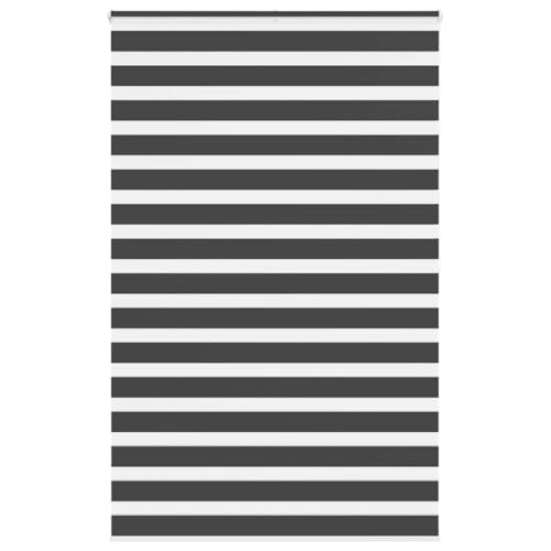 Zebra Jalousie Rollo mit Kettenzug, 100% Polyester Sicht- und Sonnenschutz für Fenster, kinderleicht verstellbar, Blickdicht und lichtdurchlässig, ohne Bohren montierbar, von ZQQLVOO