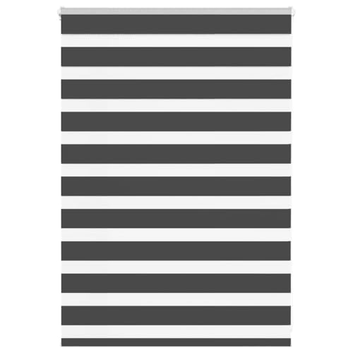 Zebra Jalousie Rollo mit Kettenzug, 100% Polyester Sicht- und Sonnenschutz für Fenster, kinderleicht verstellbar, Blickdicht und lichtdurchlässig, ohne Bohren montierbar, Zebra Jalousie Rollo mit Kettenzug, 100% Polyester Sicht- und Sonnenschutz für Fenster, kinderleicht verstellbar, Blickdicht und lichtdurchlässig, ohne Bohren montierbar, von ZQQLVOO