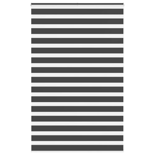 Zebra Jalousie Rollo mit Kettenzug, 100% Polyester Sicht- und Sonnenschutz für Fenster, kinderleicht verstellbar, Blickdicht und lichtdurchlässig, ohne Bohren montierbar, von ZQQLVOO