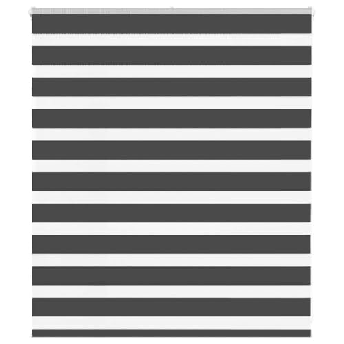 Zebra Jalousie Rollo mit Kettenzug, 100% Polyester Sicht- und Sonnenschutz für Fenster, kinderleicht verstellbar, Blickdicht und lichtdurchlässig, ohne Bohren montierbar, Zebra Jalousie Rollo mit Kettenzug, 100% Polyester Sicht- und Sonnenschutz für Fenster, kinderleicht verstellbar, Blickdicht und lichtdurchlässig, ohne Bohren montierbar, von ZQQLVOO