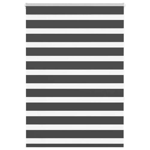 Zebra Jalousie Rollo mit Kettenzug, 100% Polyester Sicht- und Sonnenschutz für Fenster, kinderleicht verstellbar, Blickdicht und lichtdurchlässig, ohne Bohren montierbar Zebra Jalousie Rollo mit Kettenzug, 100% Polyester Sicht- und Sonnenschutz für Fenster, kinderleicht verstellbar, Blickdicht und lichtdurchlässig, ohne Bohren montierbar von ZQQLVOO